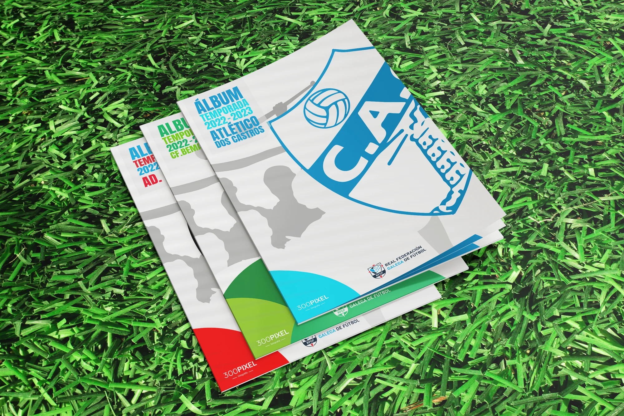 Álbum de equipo