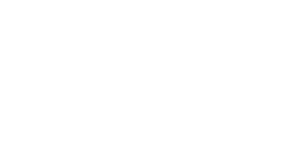 300Pixel